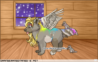 Dressed pet