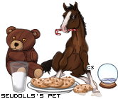 Dressed pet