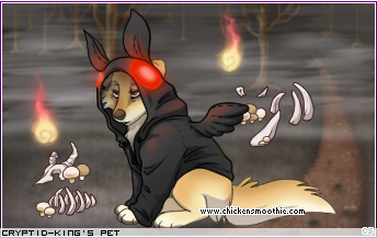 Dressed pet