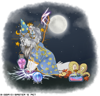 Dressed pet