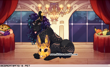 Dressed pet