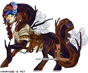 Dressed pet