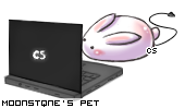 Dressed pet
