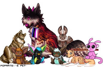 Dressed pet