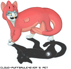 Dressed pet