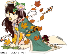 Dressed pet