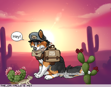 Dressed pet