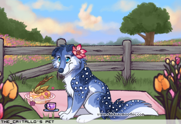 Dressed pet