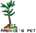 Dressed pet