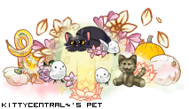 Dressed pet