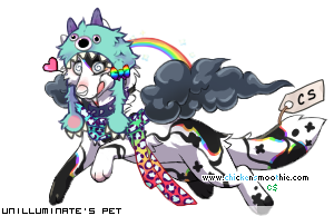 Dressed pet