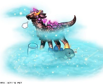 Dressed pet