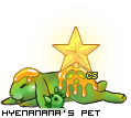 Dressed pet