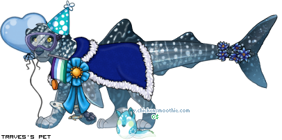 Dressed pet