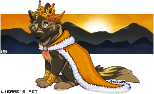 Dressed pet