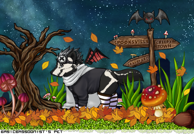 Dressed pet