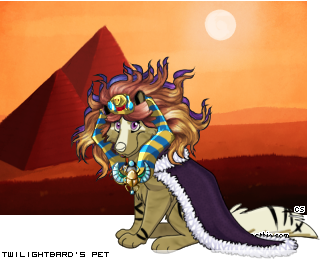 Dressed pet