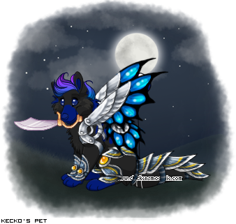 Dressed pet