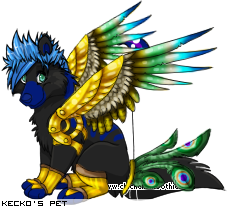 Dressed pet