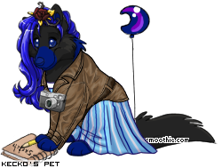 Dressed pet