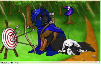 Dressed pet