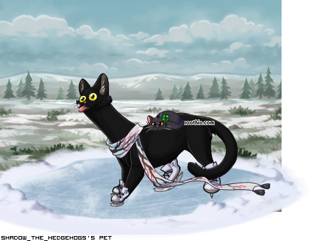 Dressed pet