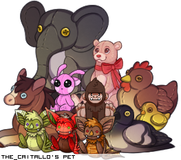 Dressed pet