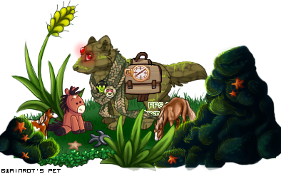 Dressed pet