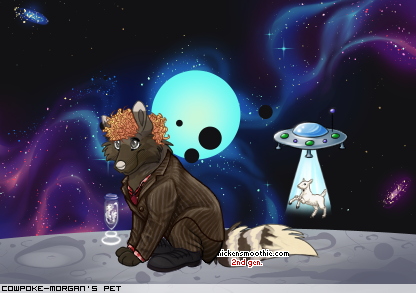 Dressed pet