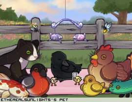 Dressed pet