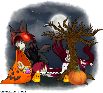 Dressed pet