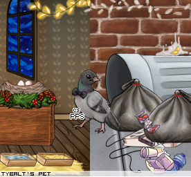 Dressed pet