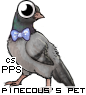 Dressed pet