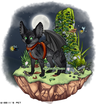 Dressed pet