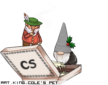 Dressed pet