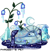 Dressed pet