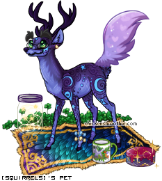 Dressed pet
