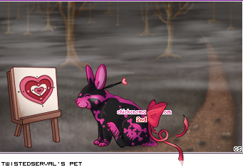Dressed pet