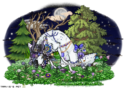 Dressed pet