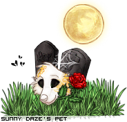 Dressed pet