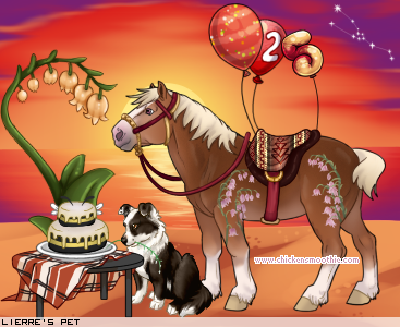 Dressed pet