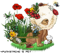 Dressed pet