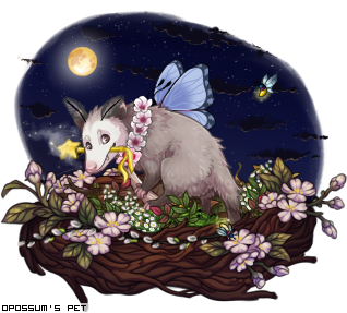 Dressed pet