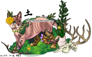 Dressed pet