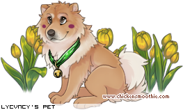Dressed pet