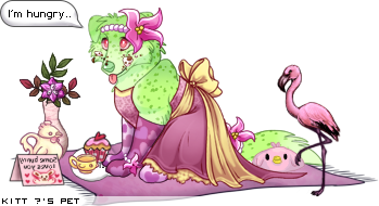 Dressed pet