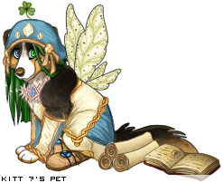 Dressed pet