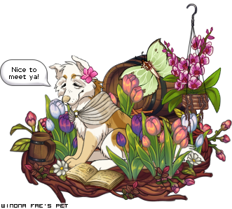 Dressed pet