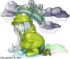 Dressed pet