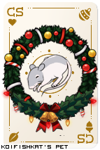 Dressed pet
